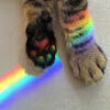 rainbowreckoner